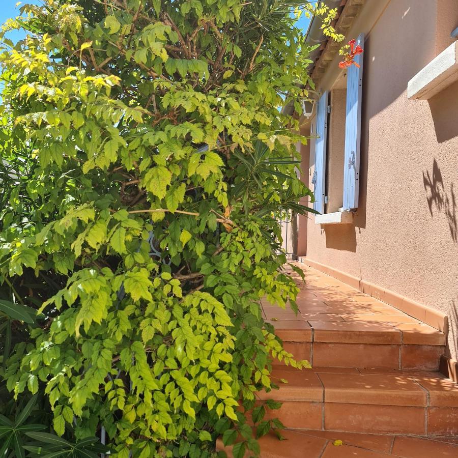 Hameau Des Amandiers - Vue Mer, Golf Et Vignes Saint-Cyr-sur-Mer Exterior foto